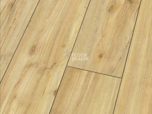 Ламинат Falquon Blue Line Wood 8mm D3718 WILD MAPLE фото 1 | FLOORDEALER